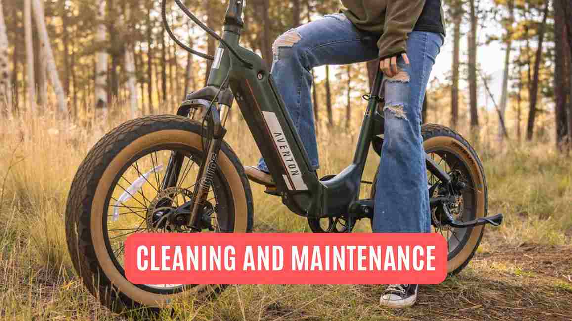 Cleaning and Maintenance